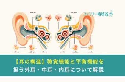 【耳の構造】聴覚機能と平衡機能を担う外耳・中耳・内耳について解説